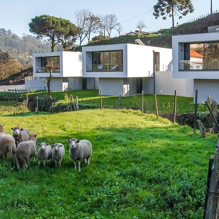 Viana Do Castelo - Amonde Village - Casa L - Disfrute Da Natureza Экстерьер фото