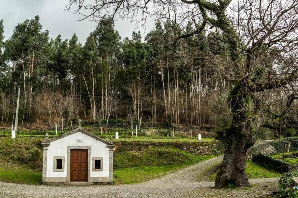 Viana Do Castelo - Amonde Village - Casa L - Disfrute Da Natureza Экстерьер фото