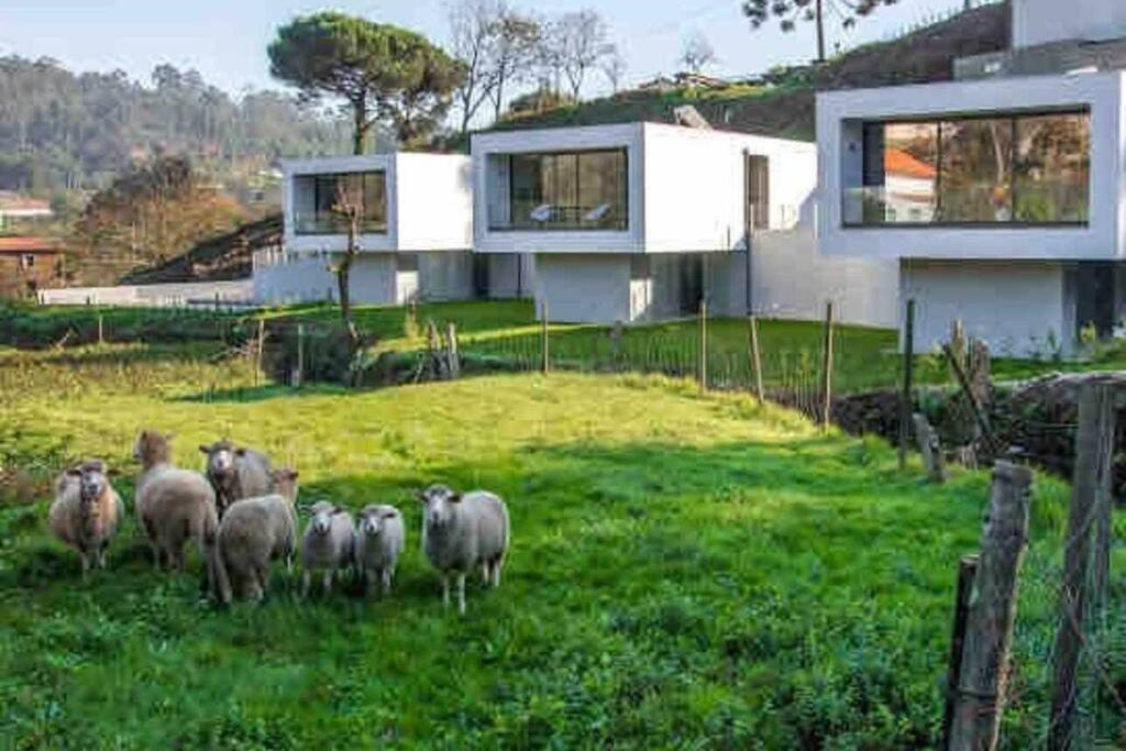 Viana Do Castelo - Amonde Village - Casa L - Disfrute Da Natureza Экстерьер фото